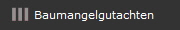 Baumangelgutachten